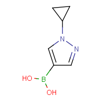 CAS: 1678534-30-9 | OR908504 | (1-Cyclopropyl-1h-pyrazol-4-yl)boronic acid