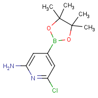 CAS:1558927-43-7 | OR908947 | 2-Amino-6-chloropyridine-4-boronic acid pinacol ester