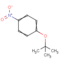 CAS: 2109-72-0 | OR909486 | 1-(tert-Butoxy)-4-nitrobenzene