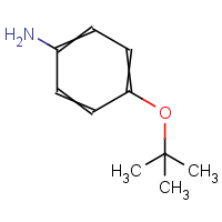 CAS:57120-36-2 | OR909518 | 4-tert-Butoxyaniline