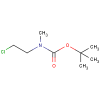 CAS: 220074-38-4 | OR909760 | tert-Butyl N-(2-chloroethyl)-N-methylcarbamate