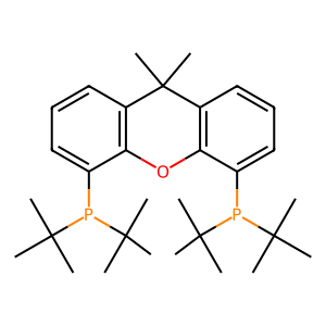 CAS: 856405-77-1 | OR91013 | (9,9-Dimethyl-9H-xanthene-4,5-diyl)bis(di-tert-butylphosphine)
