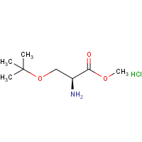 CAS: 17114-97-5 | OR911982 | O-tert-butyl-L-serine methyl ester hydrochloride