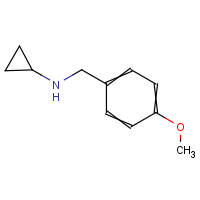 CAS: 70894-71-2 | OR912024 | N-(4-Methoxybenzyl)cyclopropanamine