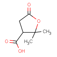 CAS: 79-91-4 | OR912078 | Terebic acid