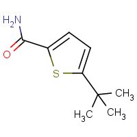 CAS: 685120-65-4 | OR912988 | 5-tert-Butylthiophene-2-carboxamide