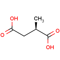 CAS: 3641-51-8 | OR913598 | (R)-(+)-Methylsuccinic acid