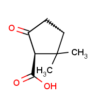 CAS: 40724-67-2 | OR913787 | (S)-(+)-Ketopinic acid
