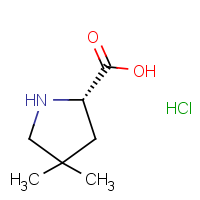 CAS:1443252-76-3 | OR913965 | (S)-4,4-Dimethylpyrrolidine-2-carboxylic acid, HCl