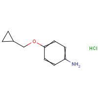 CAS:1158573-73-9 | OR914497 | 4-(Cyclopropylmethoxy)aniline hydrochloride