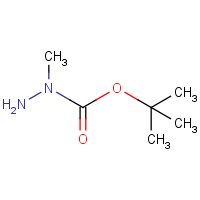 CAS: 21075-83-2 | OR917775 | 1-Boc-1-methylhydrazine