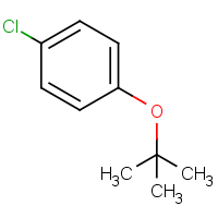 CAS: 18995-35-2 | OR920002 | 1-tert-Butoxy-4-chlorobenzene