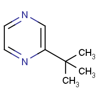 CAS:32741-11-0 | OR920095 | 2-tert-Butylpyrazine