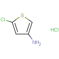 CAS: 1408076-06-1 | OR921584 | 3-Amino-5-chlorothiophene hydrochloride