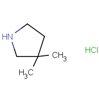 CAS: 3437-30-7 | OR922548 | 3,3-Dimethylpyrrolidine hydrochloride