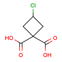 CAS:89639-43-0 | OR923279 | 3-Chloro-cyclobutane-dicarboxylic acid
