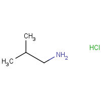 CAS: 5041-09-8 | OR924170 | Isobutylamine hydrochloride