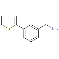 CAS: 859850-86-5 | OR9262 | 3-(Thien-2-yl)benzylamine
