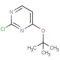 CAS: 614729-28-1 | OR926978 | 4-(tert-Butoxy)-2-chloropyrimidine