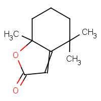 CAS: 17092-92-1 | OR927125 | (2,6,6-Trimethyl-2-hydroxycyclohexylidene)acetic acid lactone
