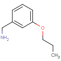 CAS: 37806-33-0 | OR927946 | (3-Propoxyphenyl)methanamine
