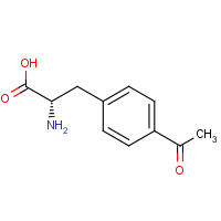 CAS:122555-04-8 | OR928215 | 4-Acetyl-L-phenylalanine