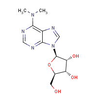 CAS:2620-62-4 | OR928523 | N6,N6-Dimethyladenosine