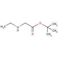 CAS:172317-17-8 | OR929179 | tert-Butyl 2-(ethylamino)acetate