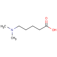 CAS:89855-60-7 | OR930116 | 5-(Dimethylamino)pentanoic acid