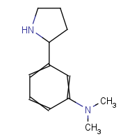 CAS:383127-43-3 | OR931213 | N,N-Dimethyl-3-(2-pyrrolidinyl)aniline