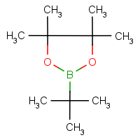 CAS: 99810-76-1 | OR9319 | tert-Butylboronic acid, pinacol ester