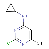 CAS: 1250038-98-2 | OR931917 | (2-Chloro-6-methyl-pyrimidin-4-yl)-cyclopropyl-amine
