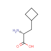 CAS: 174266-00-3 | OR931954 | (R)-3-Cyclobutylalanine