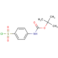 CAS:269747-25-3 | OR933008 | tert-Butyl (4-(chlorosulfonyl)phenyl)carbamate