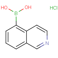 CAS: 1256345-46-6 | OR9366 | Isoquinoline-5-boronic acid hydrochloride