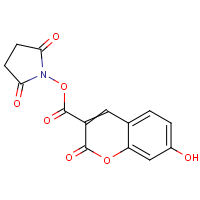 CAS: 134471-24-2 | OR937545 | 2,5-Dioxopyrrolidin-1-yl 7-hydroxy-2-oxo-2H-chromene-3- carboxylate