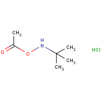 CAS: 851074-40-3 | OR938608 | O-Acetyl-N-tert-butylhydroxylamine hydrochloride
