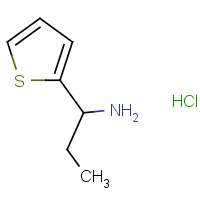 CAS: 6315-55-5 | OR939957 | 1-(Thiophen-2-yl)propan-1-amine hydrochloride