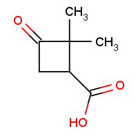 CAS: 3183-43-5 | OR943021 | 2,2-Dimethyl-3-oxocyclobutane-1-carboxylic acid