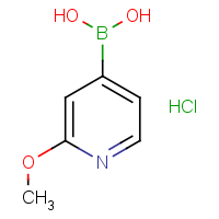 CAS:2304634-31-7 | OR944250 | 2-Methoxypyridine-4-boronic acid hydrochloride