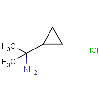 CAS: 17397-13-6 | OR944298 | (1-Cyclopropyl-1-methylethyl)amine hydrochloride