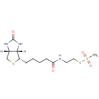 CAS: 162758-04-5 | OR9475T | N-Biotinylaminoethyl methylthiosulphonate