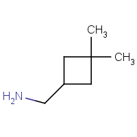 CAS:1244949-67-4 | OR948833 | (3,3-Dimethylcyclobutyl)methanamine