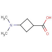 CAS: 1628252-12-9 | OR949445 | 3-(Dimethylamino)cyclobutanecarboxylic acid
