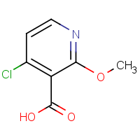 CAS: 605661-81-2 | OR949736 | 4-Chloro-2-methoxynicotinic acid