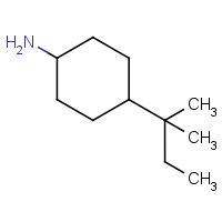 CAS: 208941-83-7 | OR951198 | 4-(1,1-Dimethylpropyl)cyclohexanamine