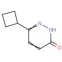 CAS:1161737-37-6 | OR952321 | 6-Cyclobutyl-3(2H)-pyridazinone