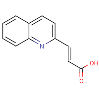 CAS: 81124-50-7 | OR953796 | (E)-3-(Quinolin-2-yl)acrylic acid