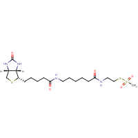CAS: 353754-95-7 | OR9575T | N-Biotinylcaproylaminoethyl methylthiosulphonate