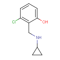 CAS: | OR957687 | 3-Chloro-2-[(cyclopropylamino)methyl]phenol
